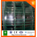 Euro fence/Holland wire mesh/Dutch wire mesh